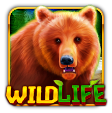 Wild Life free slot game