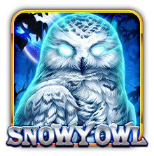 Snowy Owl free slot game